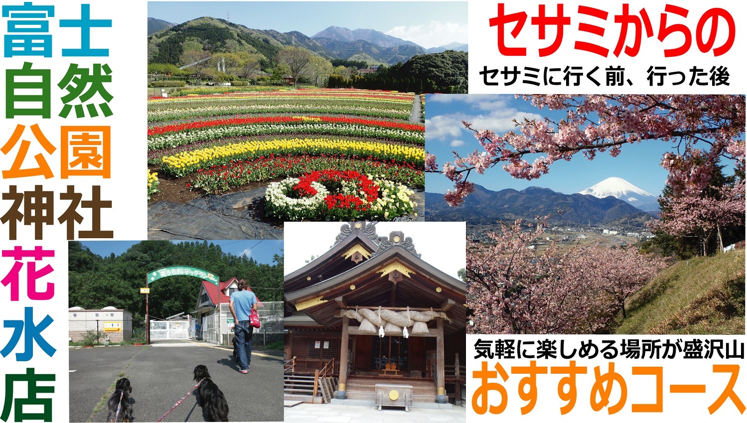 セサミからのおすすめコース